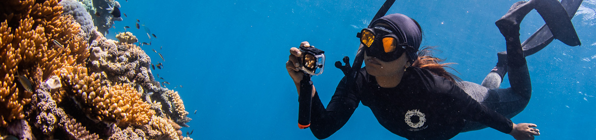 Header-CitizensGreatBarrierReef-OpEd-Kingfisher